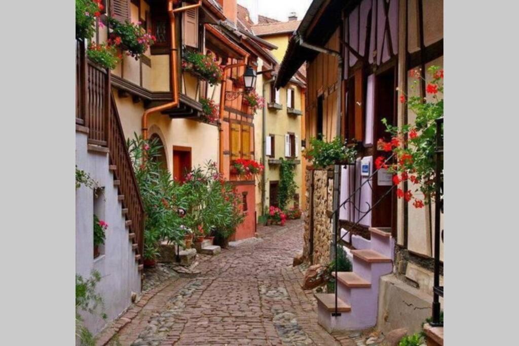 A Proche De Colmar Et Kaysergberg.