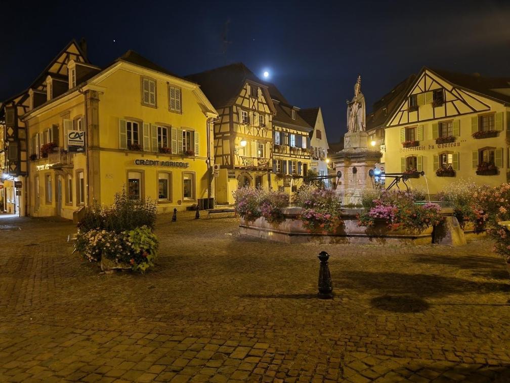 Apartment A Proche De Colmar Et Kaysergberg. Eguisheim